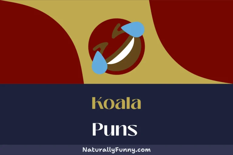 545 Koala Puns That Will Leave You Hungry for More Humor