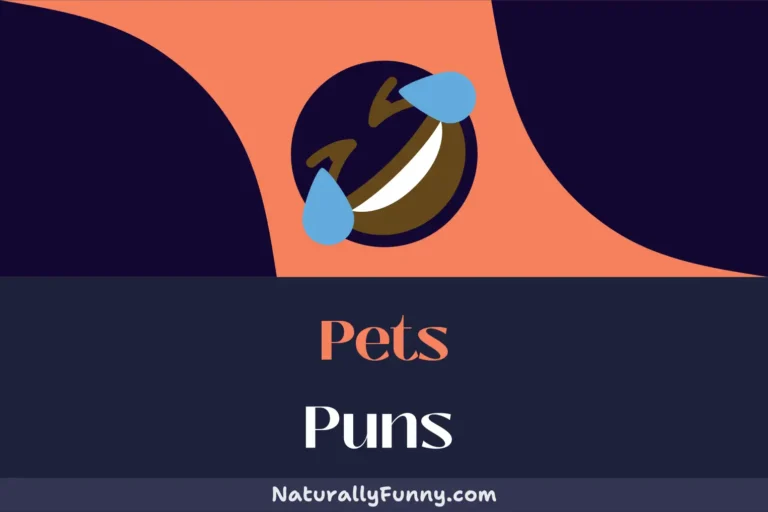 592 Pets Puns to Bird-st Out in Laughter