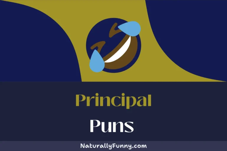 581 Principal Puns for an Education in Entertainment