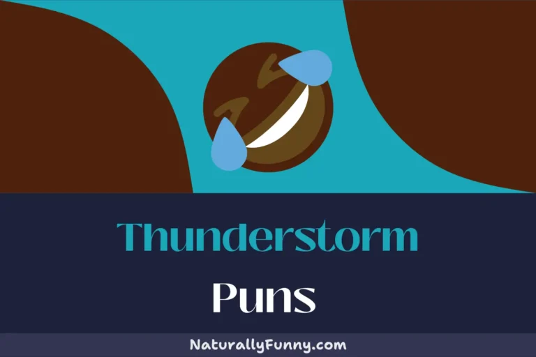 485 Thunderstorm Puns to Crack You up like Lightning