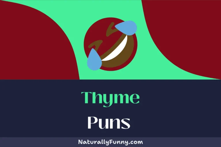 716 Thyme Puns to Sprinkle on Your Daily Chats